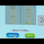 Можно ли легально купить аттестат в России